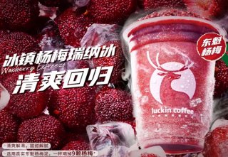 瑞幸咖啡是从哪几点打造品牌理念的？